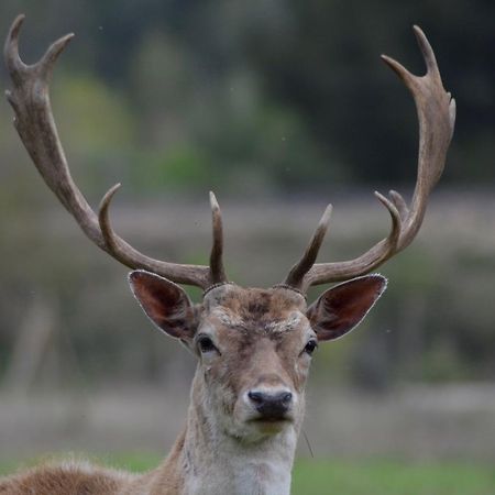 Domaine Shambala Bed & Breakfast Velaux Bagian luar foto