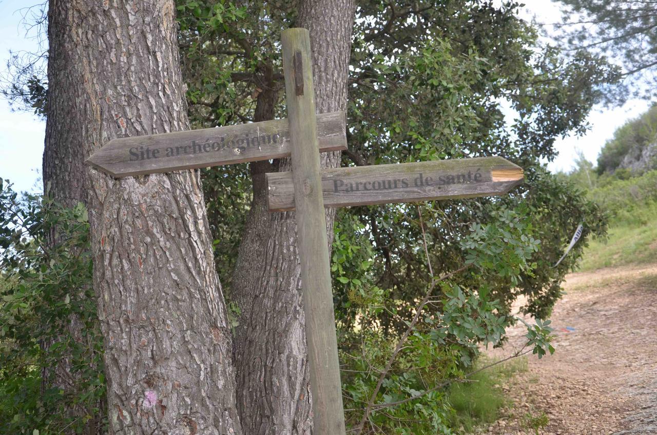 Domaine Shambala Bed & Breakfast Velaux Bagian luar foto