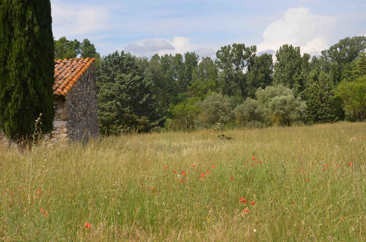 Domaine Shambala Bed & Breakfast Velaux Bagian luar foto